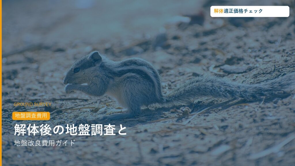解体後の地盤調査と地盤改良費用ガイド